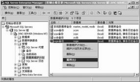 優(yōu)化您的Server 基于“中華電腦書庫”理念的SQL Server數(shù)據(jù)庫維護(hù)計(jì)劃實(shí)施指南